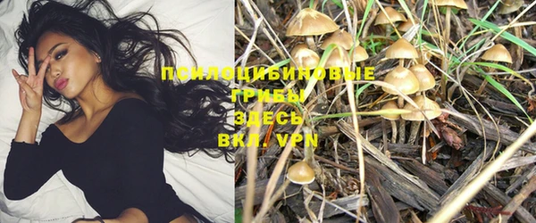 спайс Волгодонск