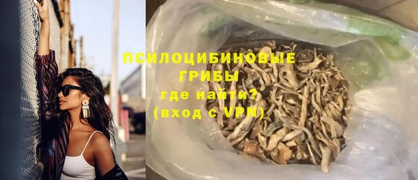 ГАЛЛЮЦИНОГЕННЫЕ ГРИБЫ Новочеркасск