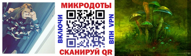 где купить наркоту Александровск Псилоцибиновые грибы прущие грибы